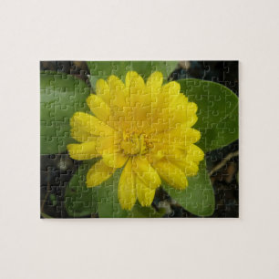 Puzzle jaune brillant Marigold