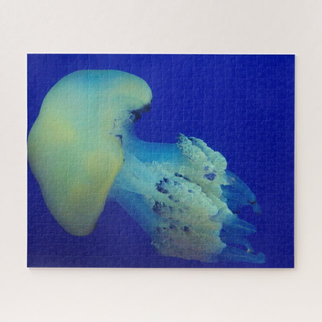 Puzzle Jelly Fish (Horizontal)