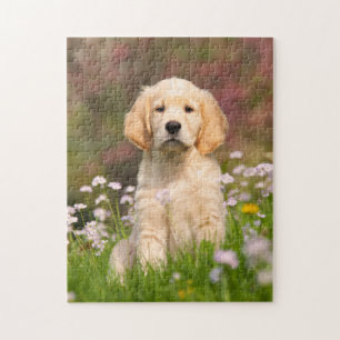 Puzzle Jeu mignon 11x14 de chiot de chien de golden