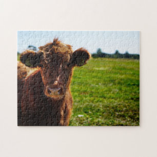 Puzzle Jeune vache Brown en champ de pâturage