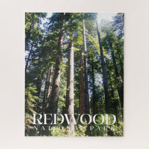 Puzzle JigsawPuzzle du parc national de Redwood