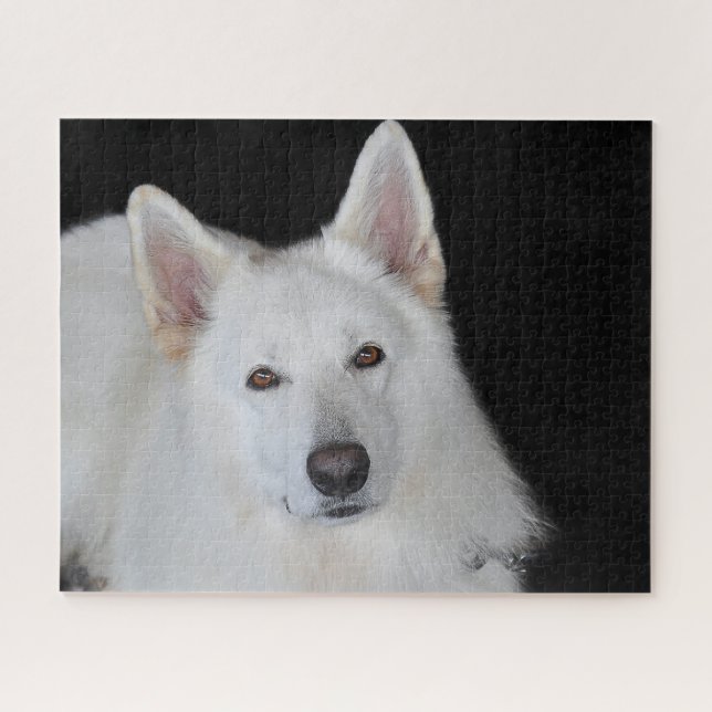 Puzzle Jigsaws bergers allemands blancs. (Horizontal)