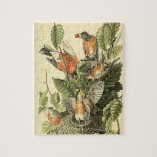 Puzzle John James Audubon American Robin Peinture Cadeau