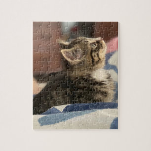 Puzzle Joli Chat   Laissez cette photo ou ajoutez votre p