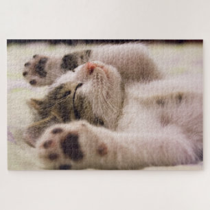 Puzzle Joli Chatons