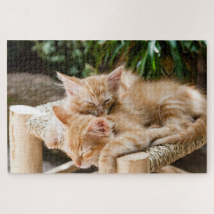 Puzzle Joli Chatons