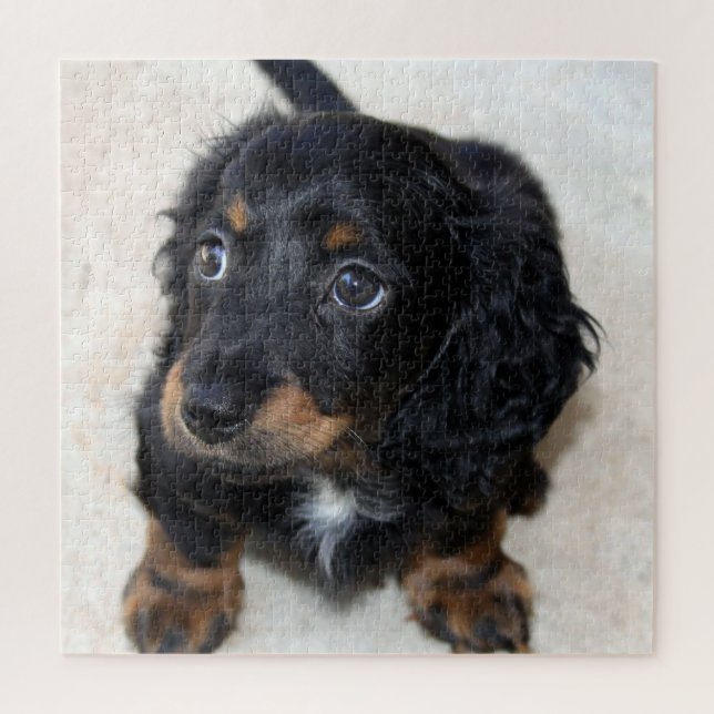 Puzzle Joli Chien chiot noir Dachshund (Vertical)