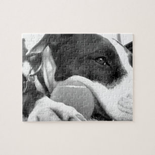 Puzzle joli chien pitbull au look triste noir et blanc av