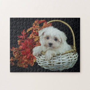 Puzzle Joli Chiot Automne