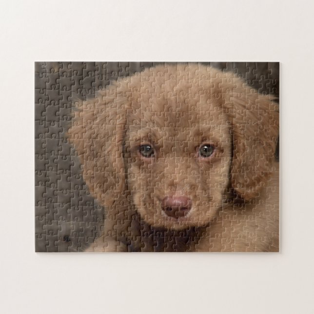 Puzzle - Joli chiot Brown (Horizontal)