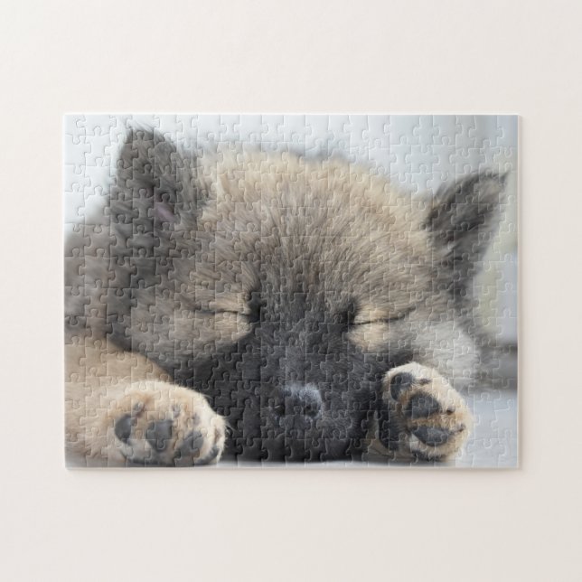 Puzzle Joli chiot Eurasier (Horizontal)