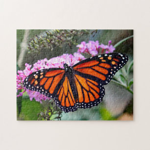 Puzzle Joli papillon Monarque Photo
