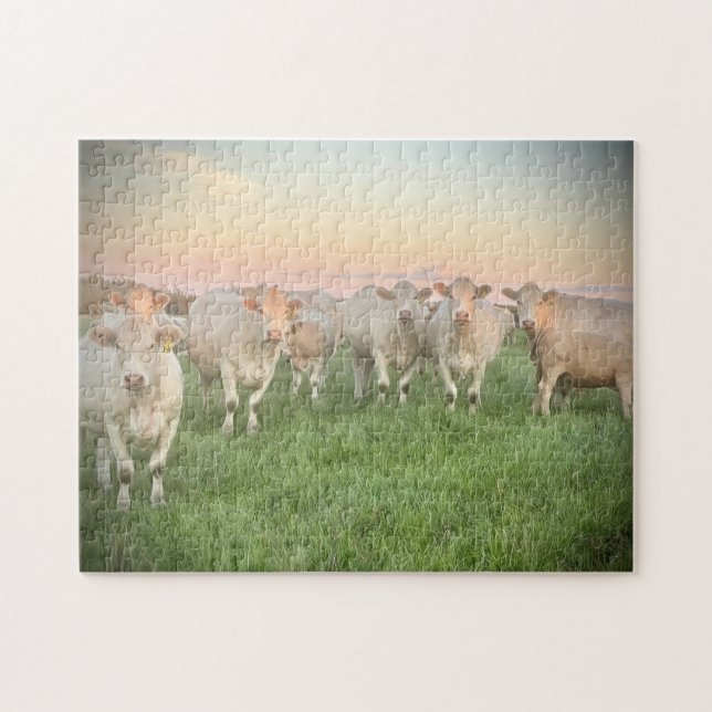 Puzzle Joli Pastel Charolais Cattle in Pastel (Horizontal)