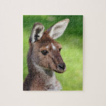 Joli Petit Kangourou