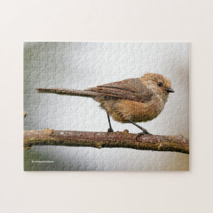 Puzzle Joli petit oiseau chanteur Bushtit sur un arbre fr