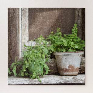 Puzzle Joli Plante dans une fenêtre rustique