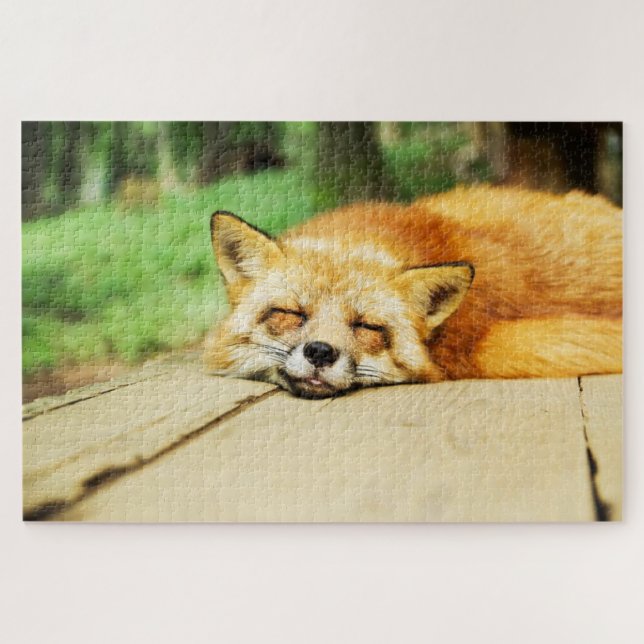 Puzzle Joli renard dormant (Horizontal)