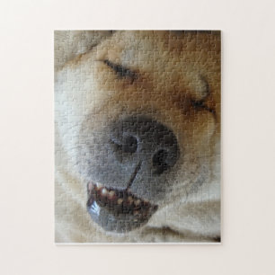 Puzzle jolie akita endormi drôle photo de chien souriant