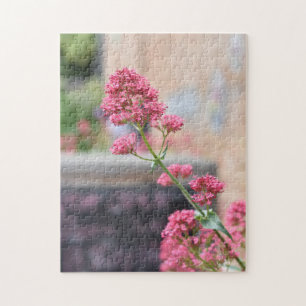 Puzzle Jolie Fleurs Roses Anglais Jardin Nature Photo