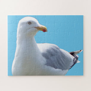 Puzzle Jolie mouette couchée photo d'oiseau de plage faun