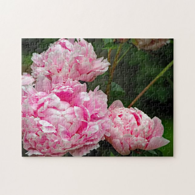 Puzzle Jolie pivoines roses Photo florale (Horizontal)