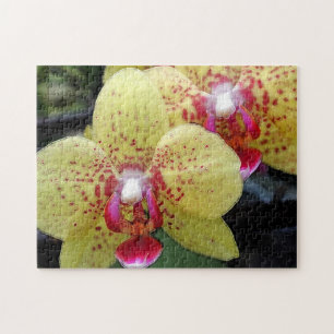 Puzzle jolies fleurs d'orchidée jaune