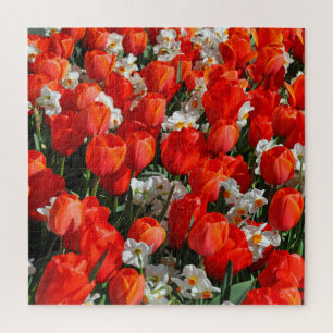 Puzzle Jolies tulipes et jonquilles
