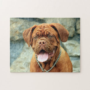 Puzzle Joyeux Dogue de Bordeaux