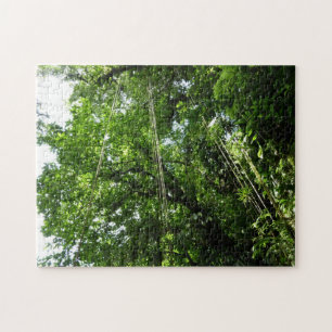 Puzzle Jungle Ropes Rainforest Photographie