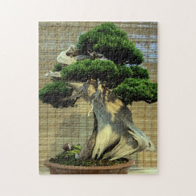 Puzzle Juniper chinois Bonsai Tree Photo (Vertical)