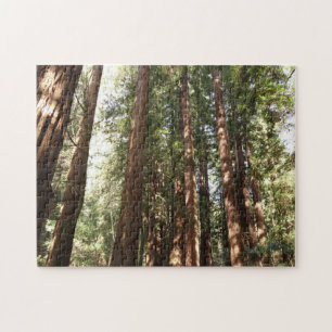 Puzzle Jusqu'aux séquoias II à Muir Woods National Monume