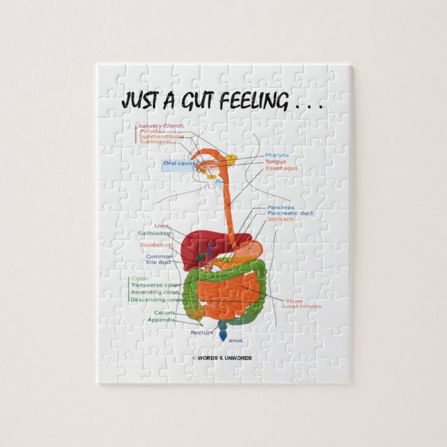 Puzzle Juste un sentiment d'intestin… (appareil digestif) (Vertical)
