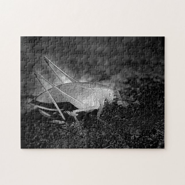 Puzzle Katydid Grasshopper En Noir Et Blanc Nature (Horizontal)