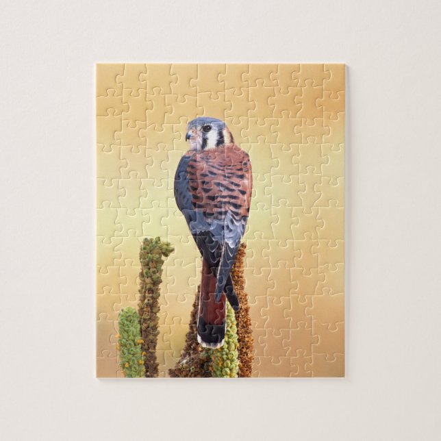Puzzle Kestrel, Falco sparverius, Native de US & Canada (Vertical)