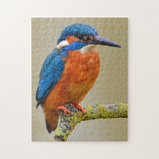 Puzzle Kingfisher (Vertical)