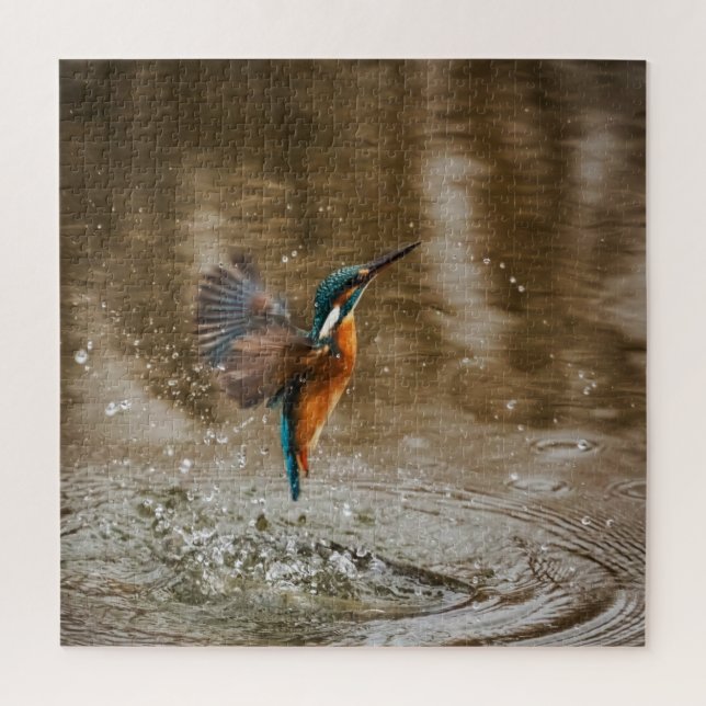 Puzzle Kingfisher Bird Sortir de l'eau Photo (Vertical)