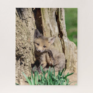 Puzzle Kit Fox dans la vallée de l'Hudson
