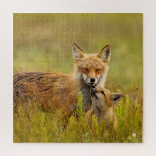 Puzzle Kit Renard Rouge vers le haut de Momma