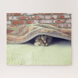 Puzzle - Kitten Caché Sous Couverture