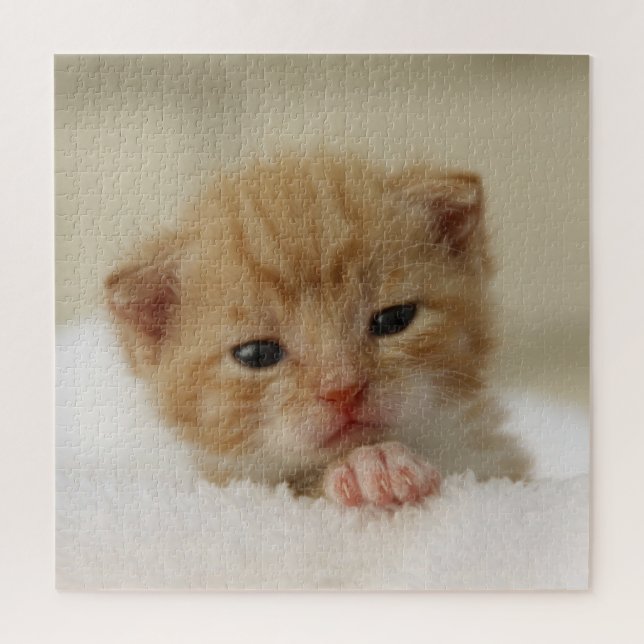 Puzzle Kitten de Tiny (Vertical)