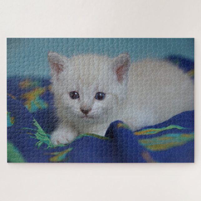 puzzle kitten minuscule (Horizontal)