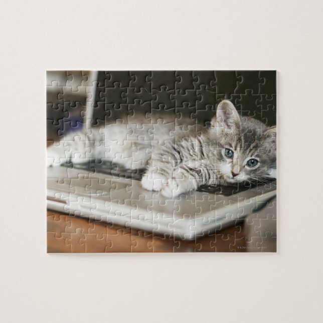 Puzzle Kitten reposant sur ordinateur portable (Horizontal)