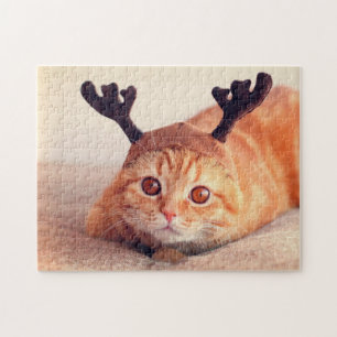 Puzzle kitten wearing a Christmas