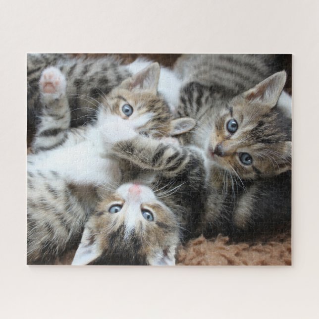 Puzzle Kittens Jigsaw (Horizontal)