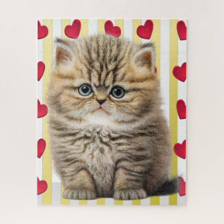 Puzzle Kitty