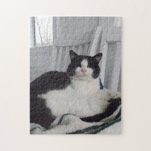 Puzzle Kitty Jigsaw