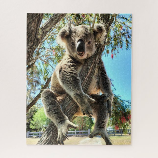 Puzzle Koala (Vertical)