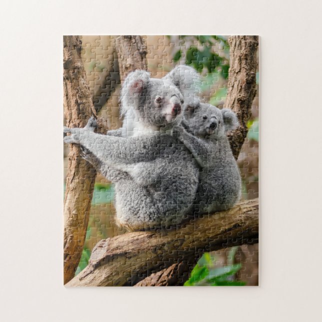 Puzzle Koala avec bébé dans un arbre en Australie (Vertical)