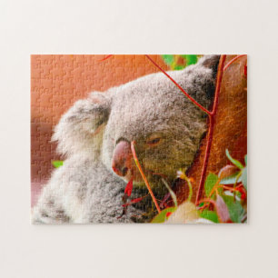 Puzzle Koala Bears.