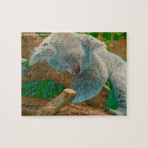 Puzzle Koalas australien